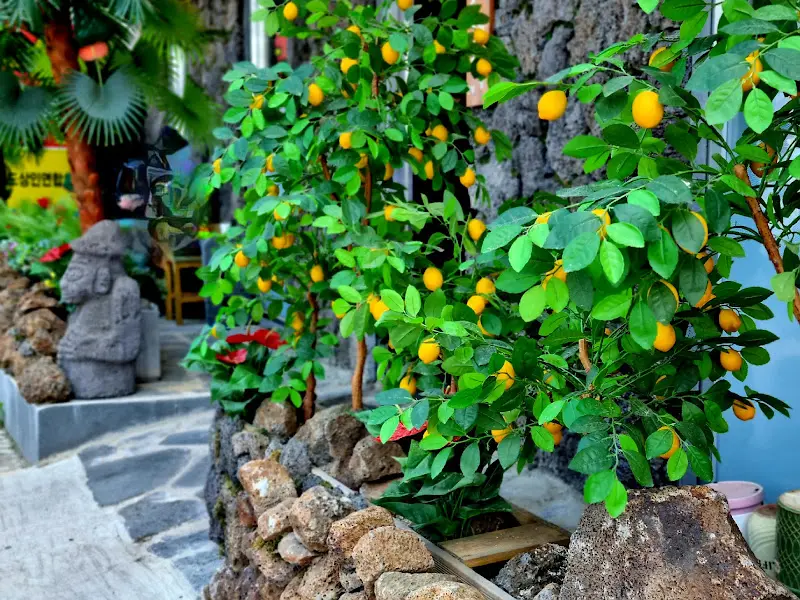 52오이도칼국수 외부 정원