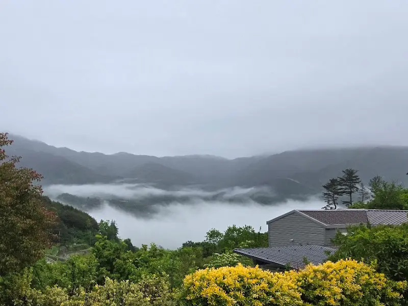 고매한에서 바라본 풍경