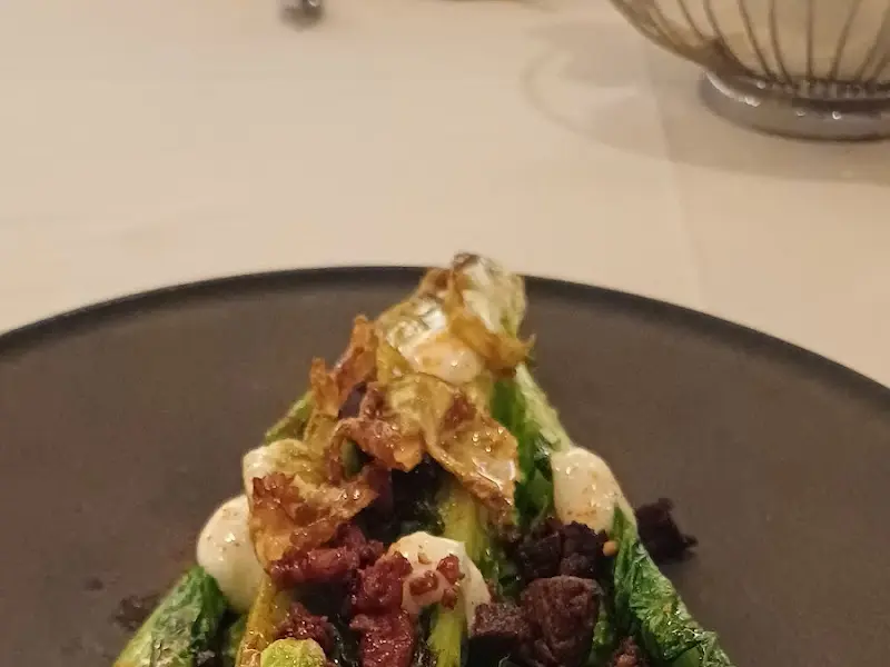 앙뜨레누보 샐러드 근접샷