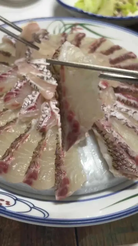 참돔 유비끼 클로즈업