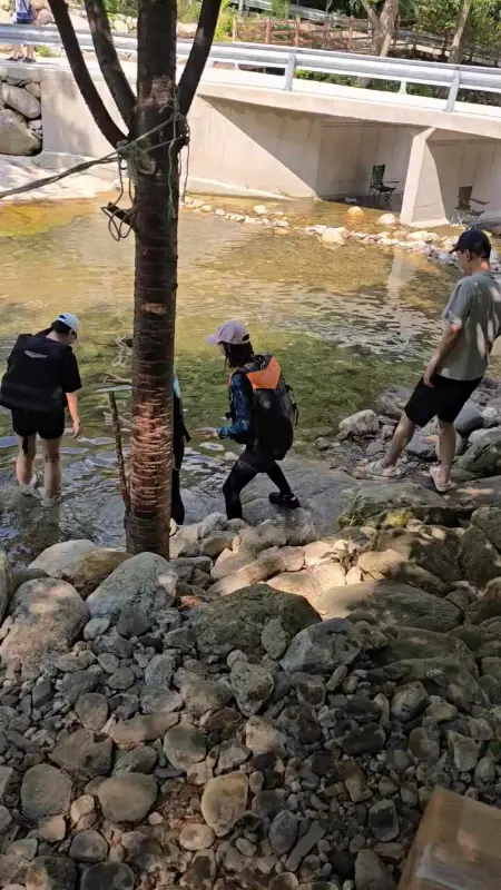 시원한 계곡물에 발을 담그고 즐기는 치킨