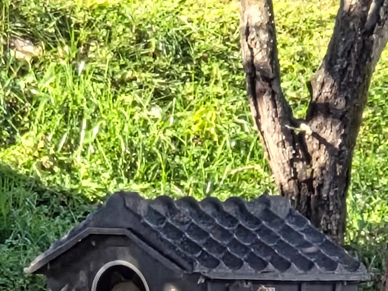 수동메기매운탕 외관