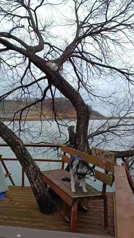 바랑산가든 외부 전경