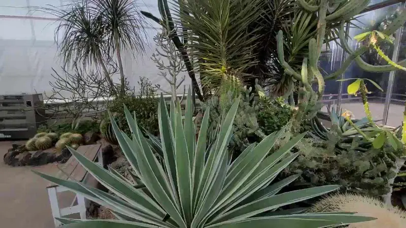 카페 옆 온실 정원