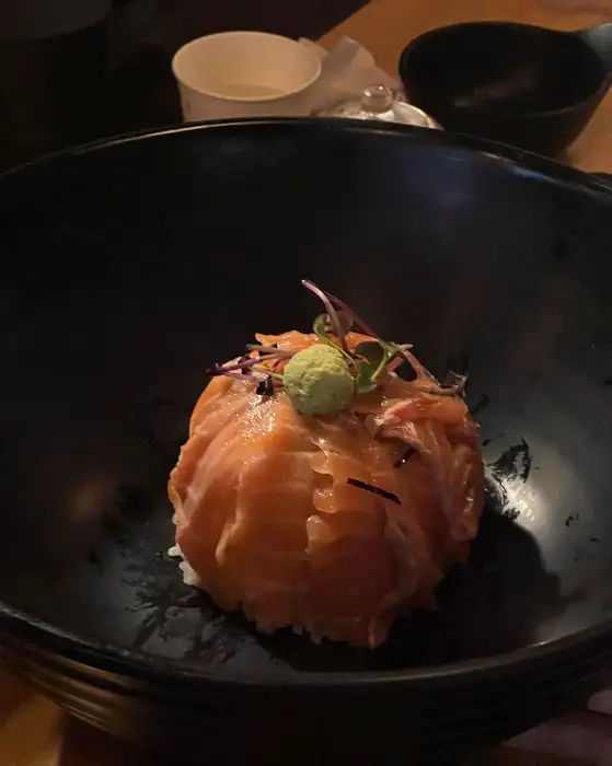 사케동