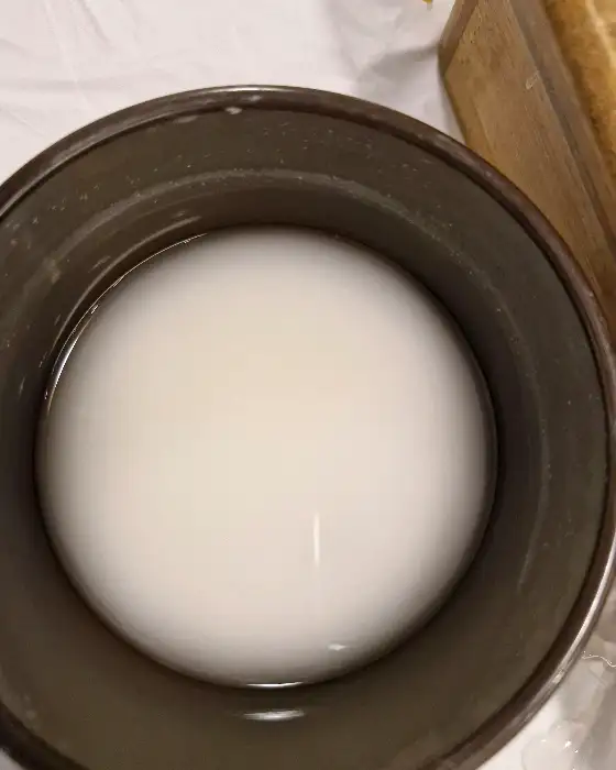 막걸리