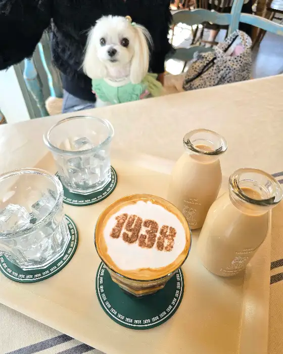 반려동물과 함께 방문한 고객의 모습