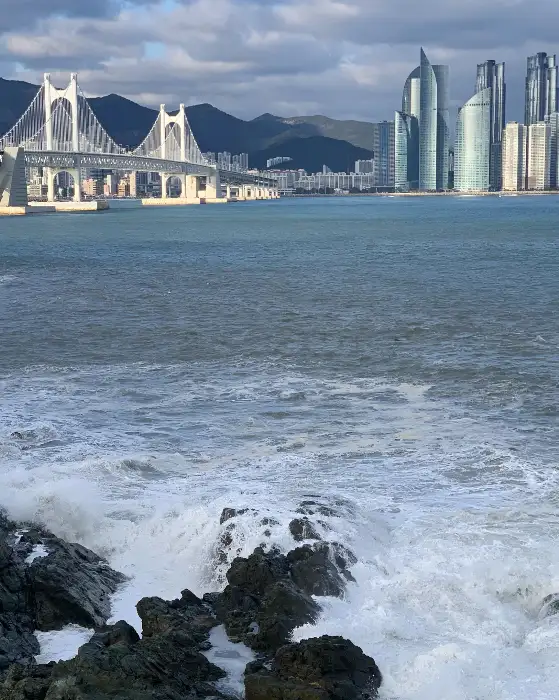 바다와 광안대교 뷰