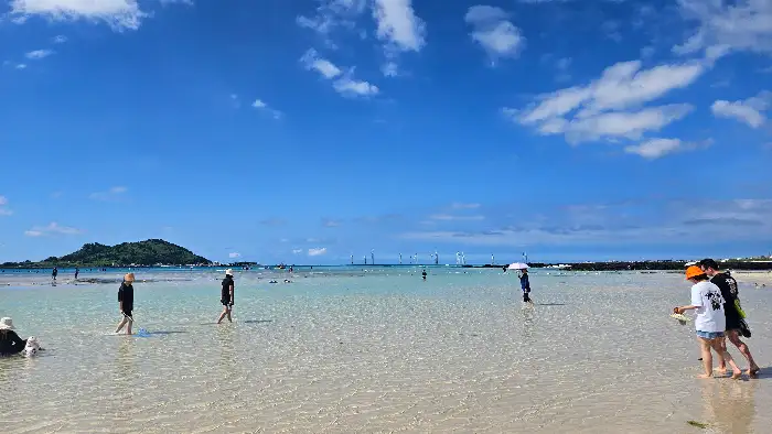 전체적인 해물찜 모습