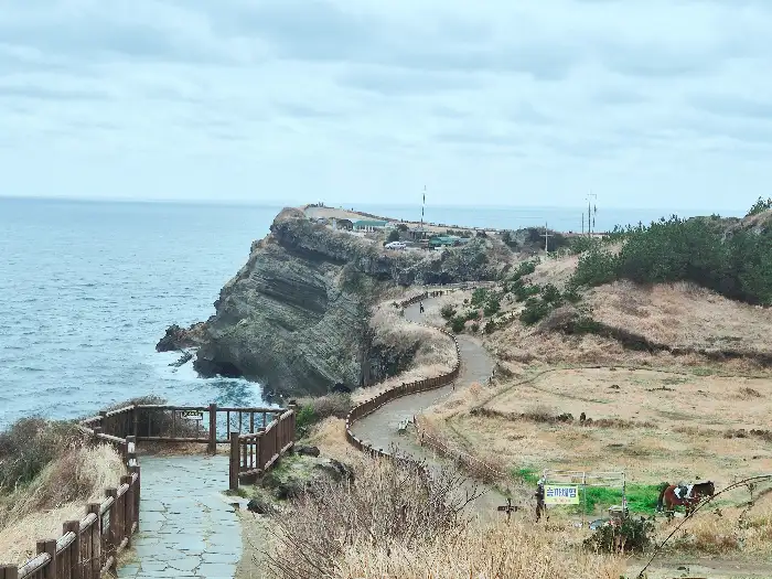 쭈꾸미 볶음