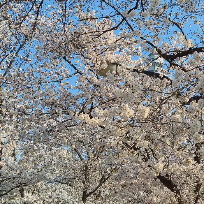 주문한 메뉴
