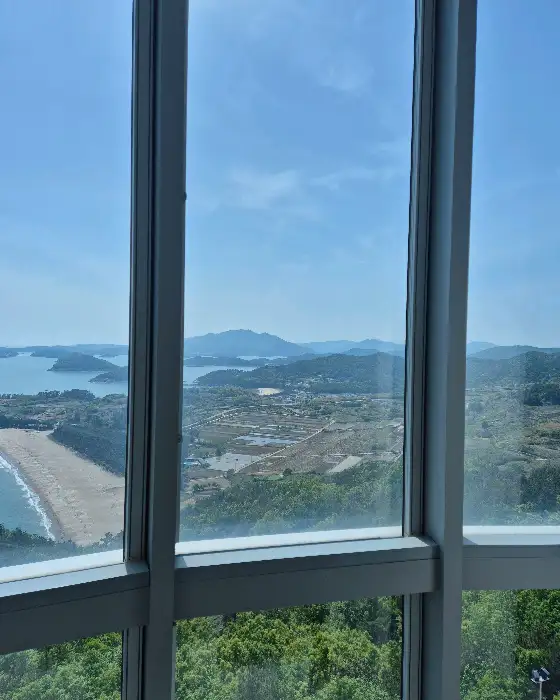 카페 나로와 창밖 풍경