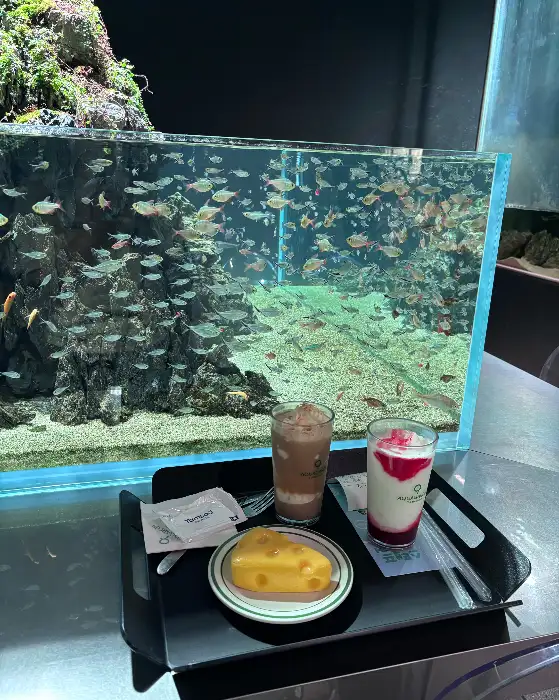 다양한 음료와 디저트가 놓인 테이블과 배경의 수족관