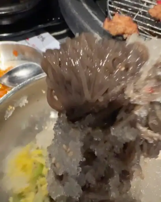 얼음 위에 올려진 쫄면의 모습.