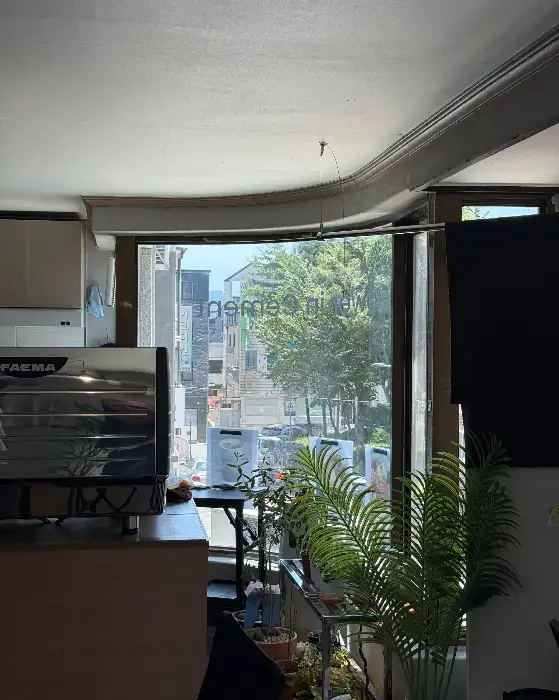 카페에서 바라본 바깥 풍경, 푸른 나무와 건물들이 조화롭게 보입니다.