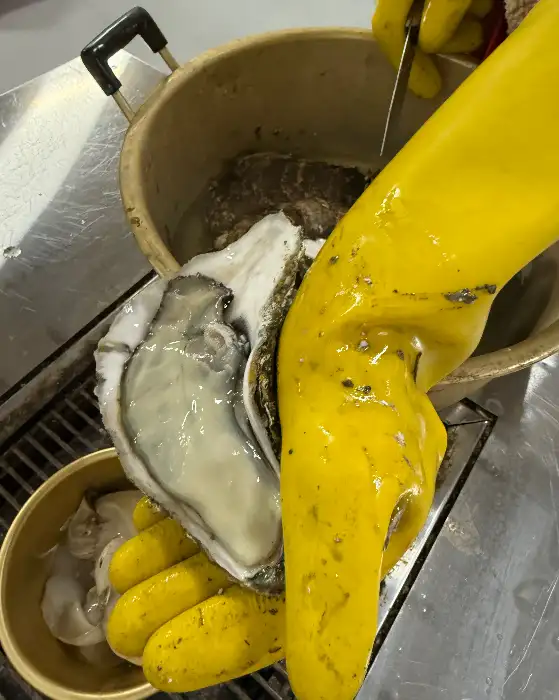 손질하는 벚굴