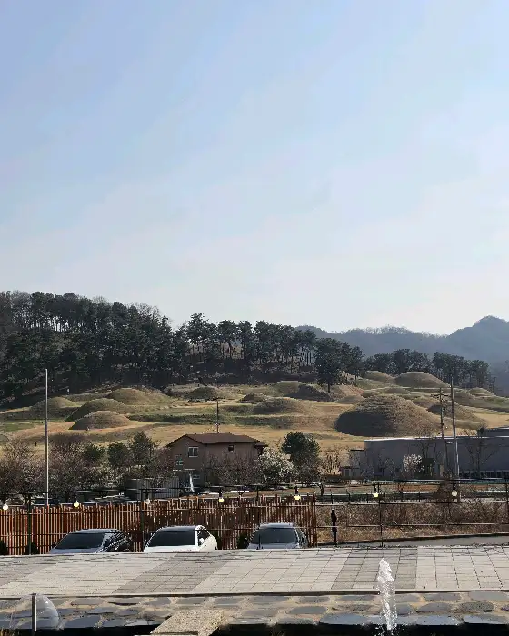 다양한 종류의 빵