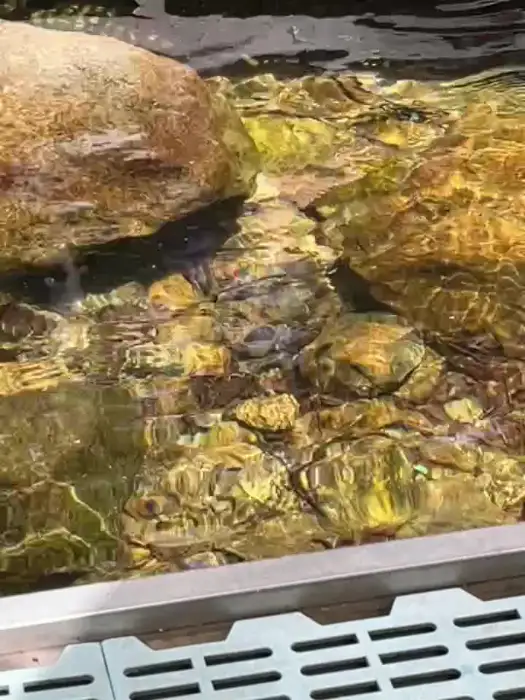 계곡 물과 바위