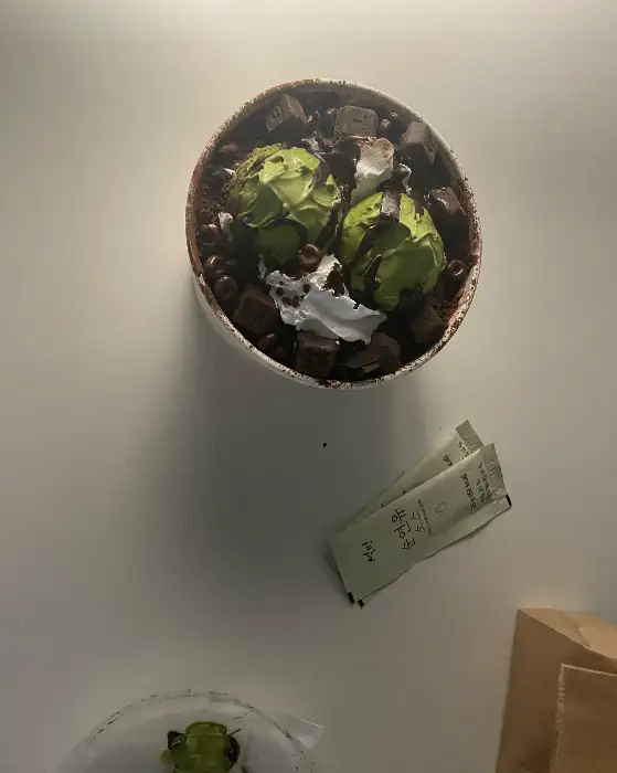 초콜릿 빙수