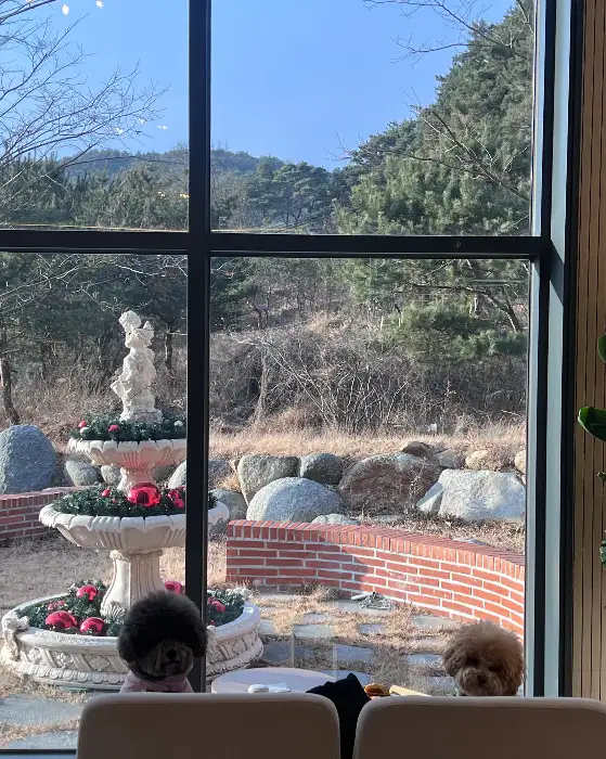 창밖 풍경과 분수대