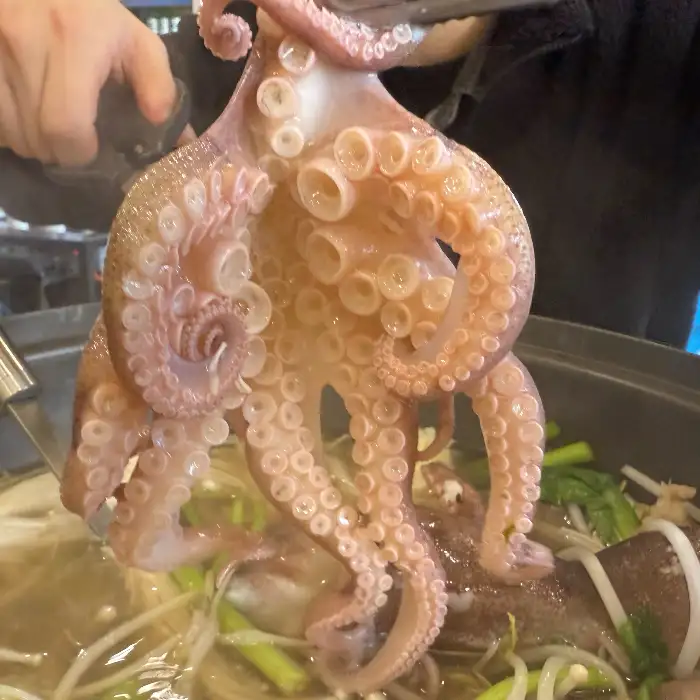 주꾸미 다리