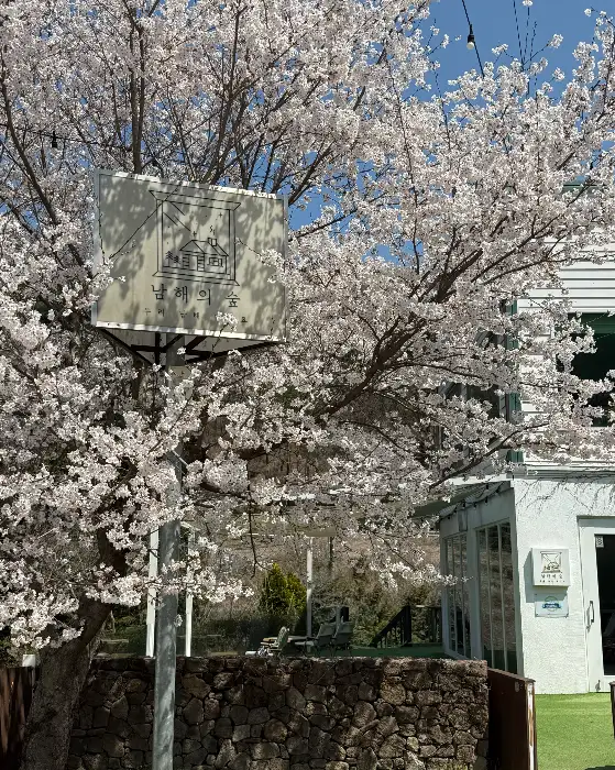 카페 내부 카운터