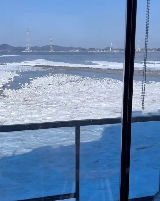 겨울 바다의 낭만을 더하는 얼음 조각들이 흩뿌려진 풍경