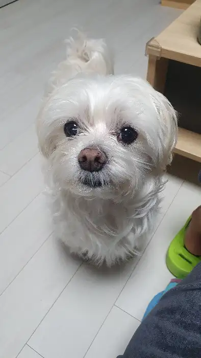 다양한 부위의 소고기