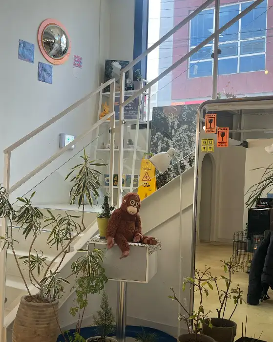 계단 옆 오랑우탄 인형