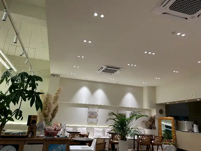 카페 내부의 조명과 식물, 그리고 액자 장식