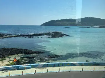 제주 함덕, 시골 할머니 손맛 그대로 담긴 밥상 ‘할매 고등어 쌈밥’