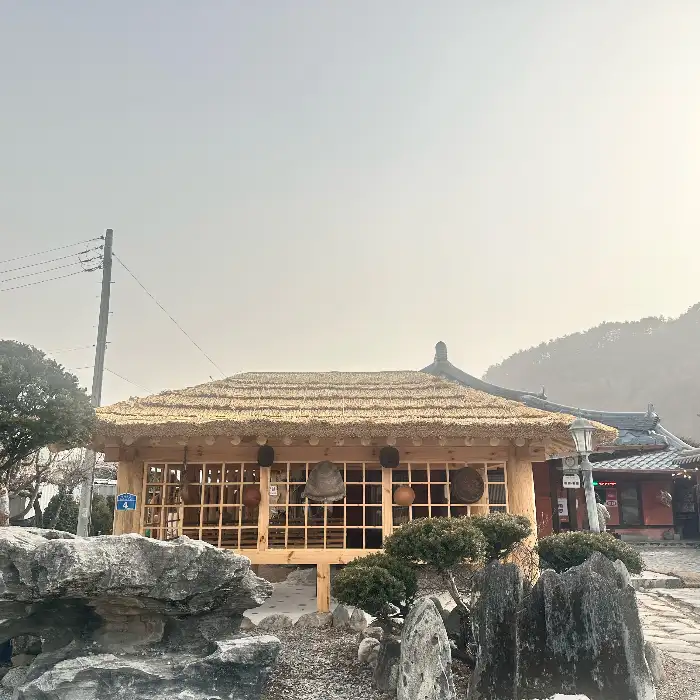 김이 모락모락 나는 찐만두 클로즈업