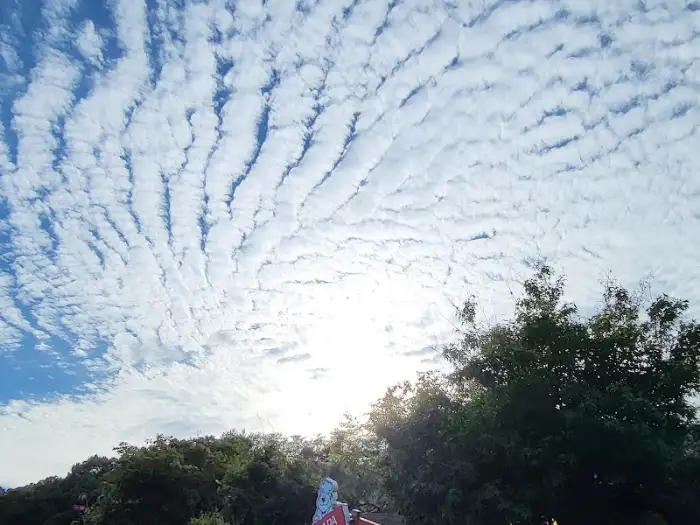 크림 파스타 메뉴 모습