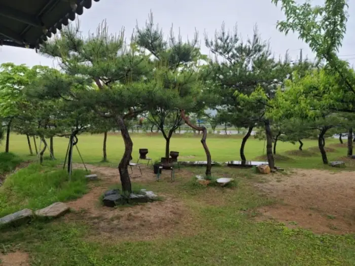 식당 뒤편의 푸른 나무와 잔디가 있는 풍경