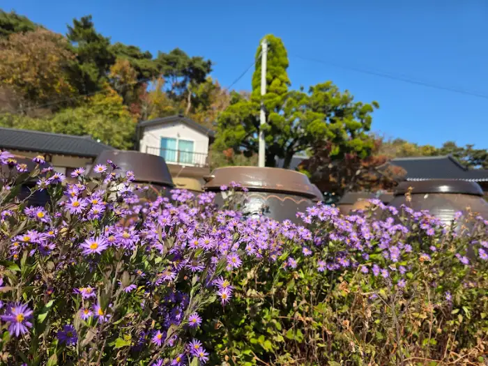 보라색 야생화와 함께 보이는 장독대