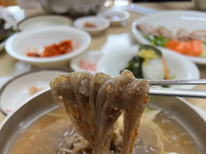 젓가락에 집힌 물막국수 면발. 뽀얀 육수에 잠긴 면발이 탱글탱글해 보인다.