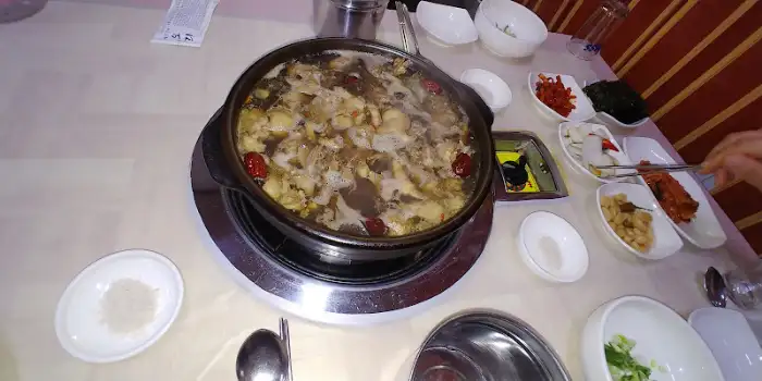 삼미가 오리백숙 먹는 모습
