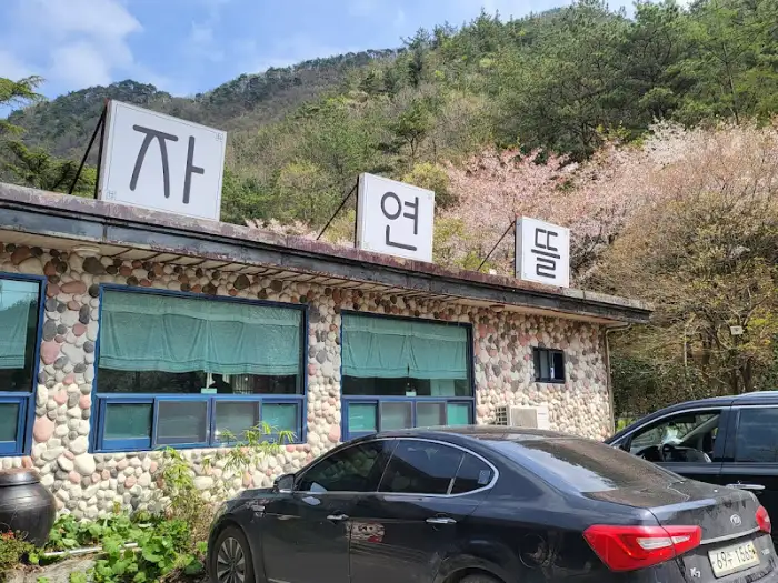 건물 외관 모습, 간판이 보인다.