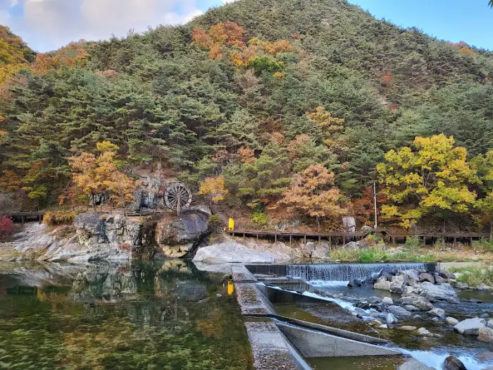 계곡의 가을 풍경