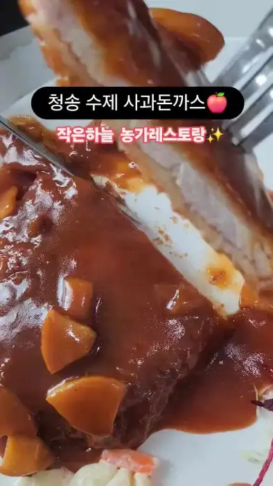 청송 사과돈까스