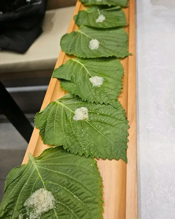 계란찜 사진