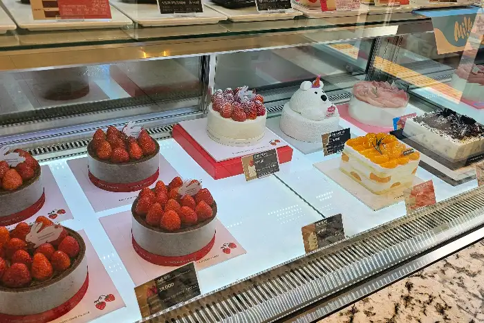 진열대에 놓인 다양한 케이크들