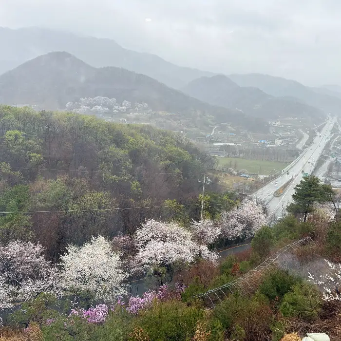 파인힐커피하우스에서 바라본 창밖 풍경