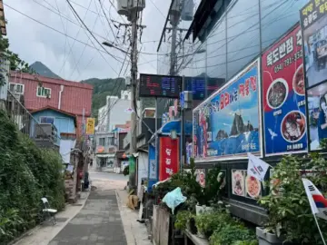 울릉도 현지인 맛집, 짬뽕 가격 논란 속 숨겨진 매력