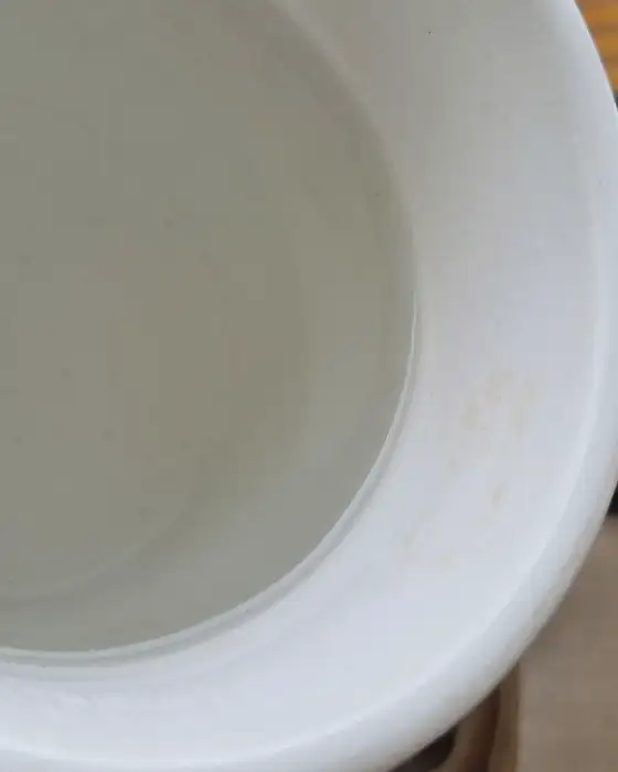 컵 속의 맑은 물