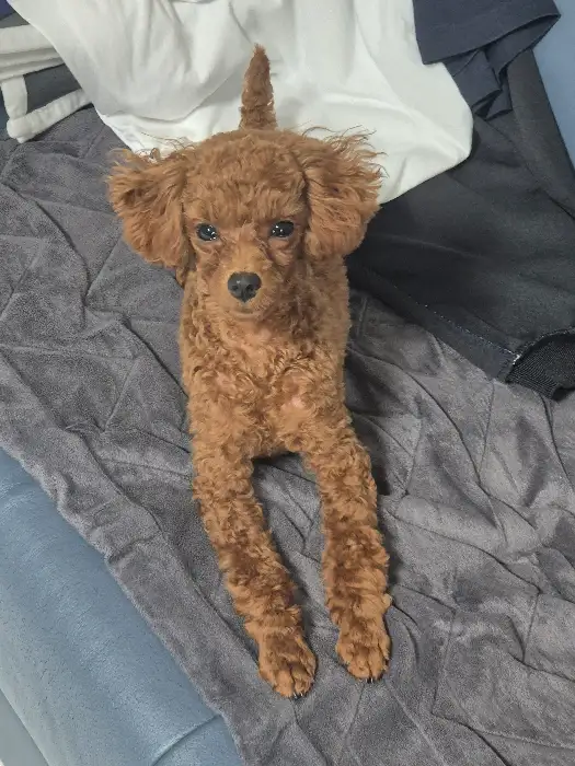 손에 들린 아이스크림 콘