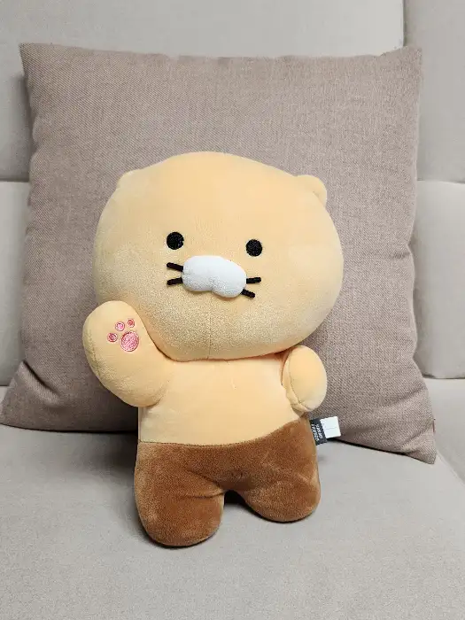 귀여운 곰돌이 인형 사진