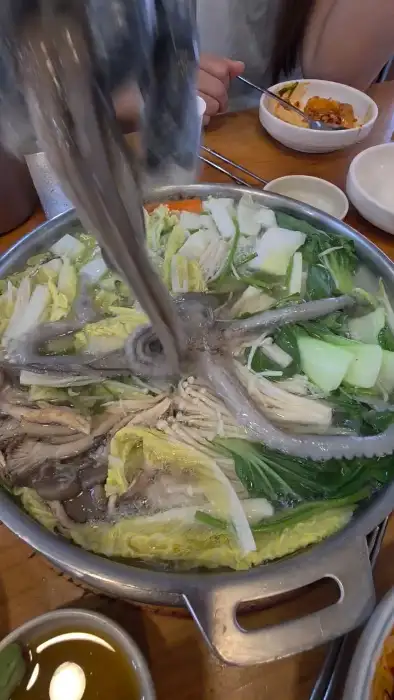 연포탕 속 산낙지