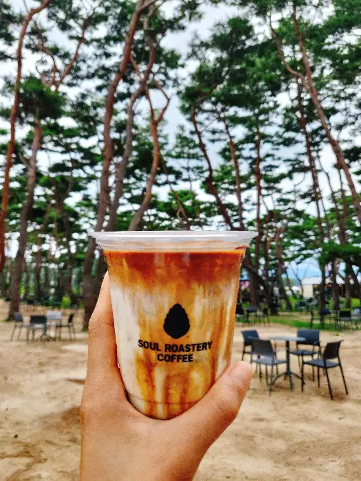 춘천 소울로스터리 옥수수 커피