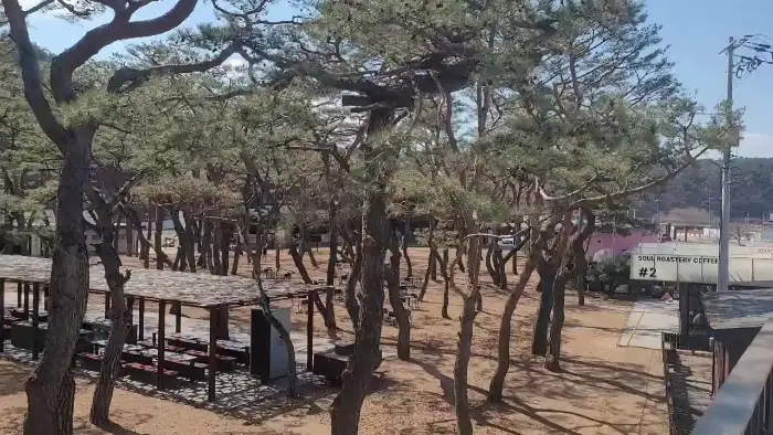 춘천 소울로스터리 실내 인테리어와 음악 감상
